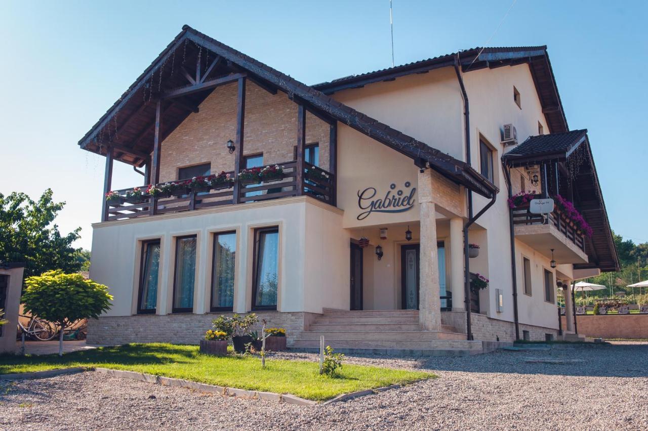Pensiunea Gabriel Corcova Bagian luar foto